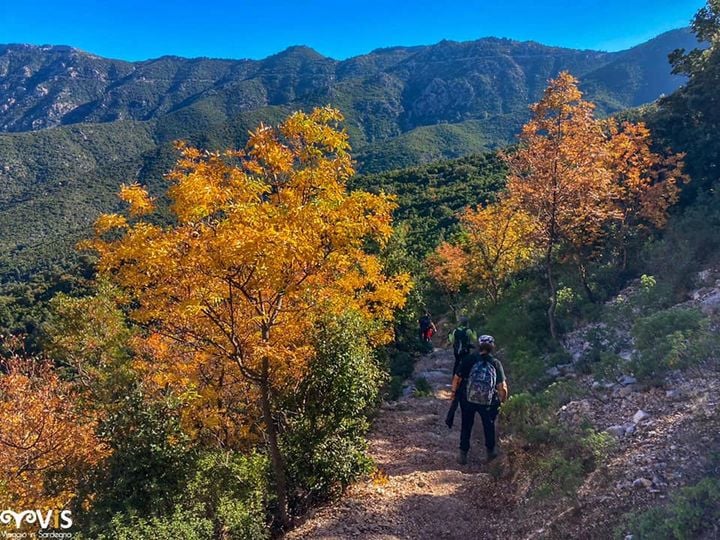 discesa a gorropu da genna silana