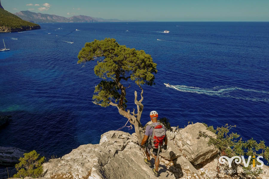 ultima calata il ginepro sul mare