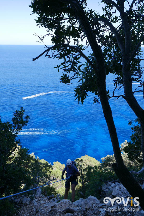 sotto passa il selvaggio blu