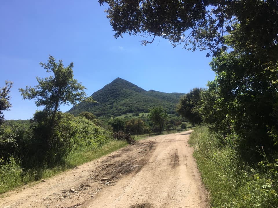 Il monte gonare visto dal percorso della vecchia strada di Mamoiada