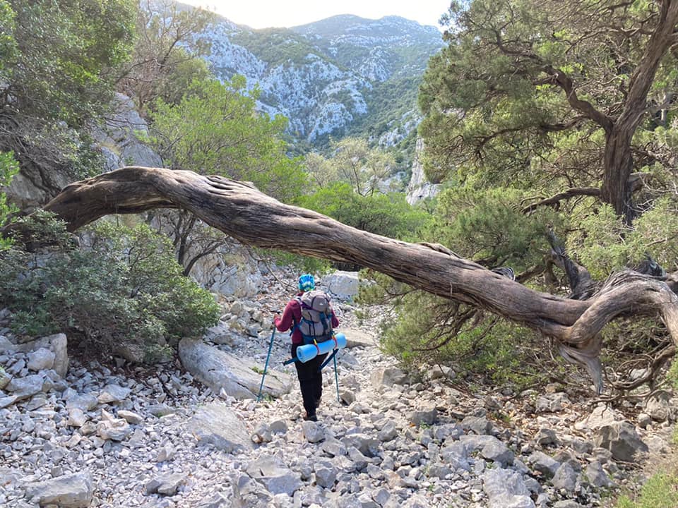 Sul sentiero di Scala 'e su Molente verso Cala Luna