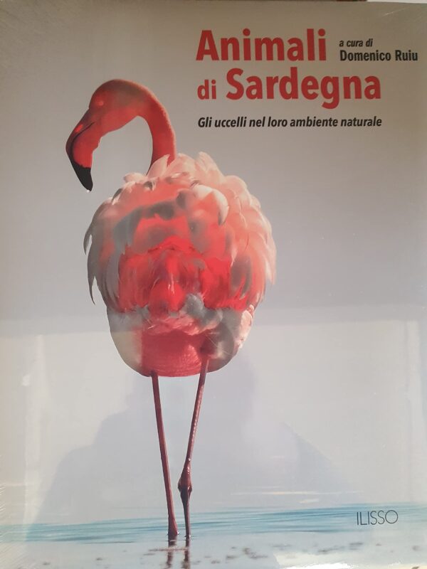 Animali di Sardegna_gli uccelli