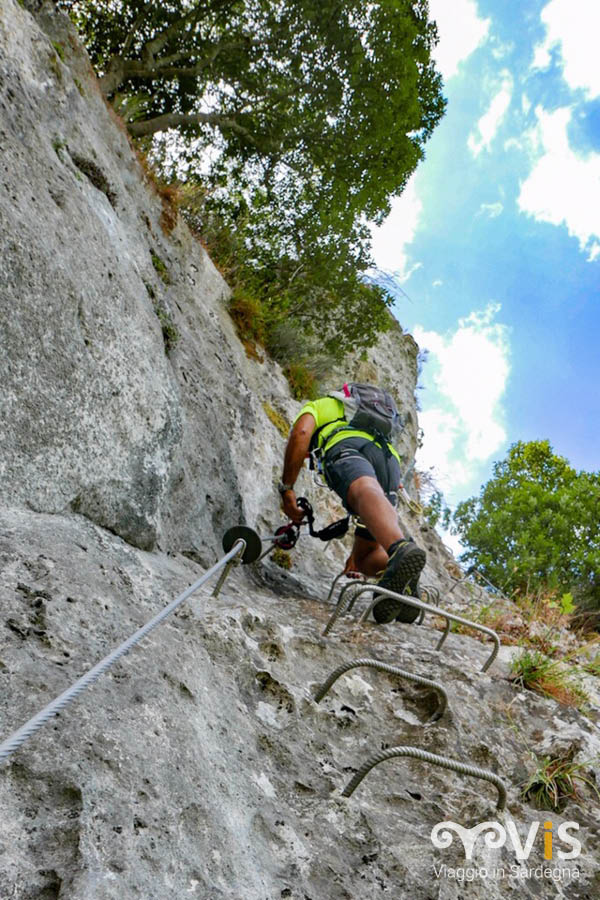 seconda verticale