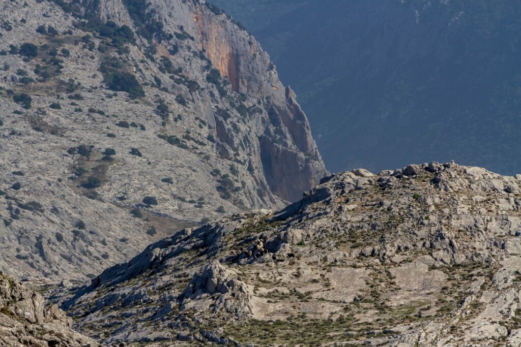 paesaggi lunari sul corrasi