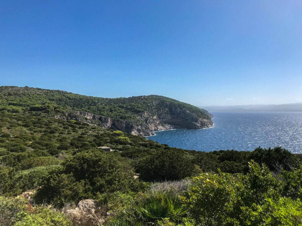 Punti panoramici lungo la costa a Punta Giglio