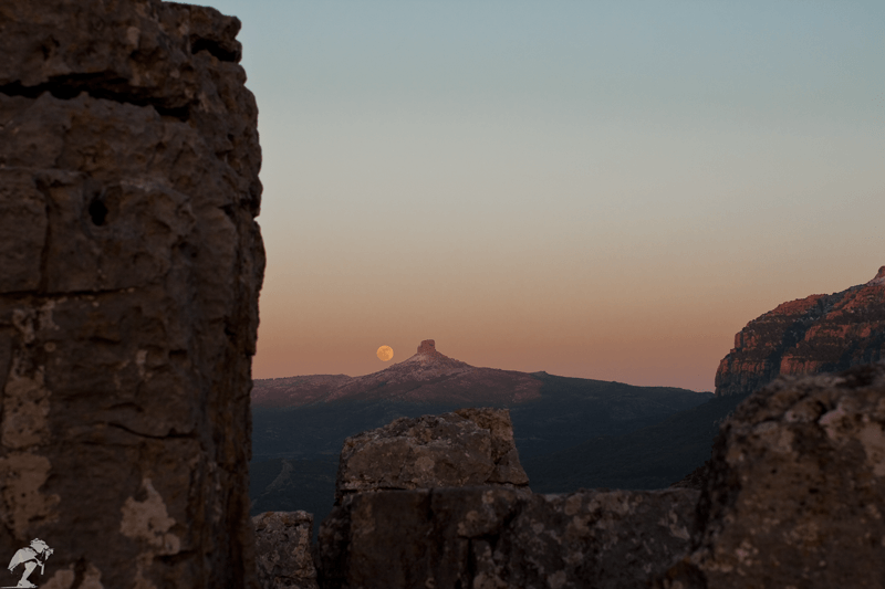 la pietra e la luna