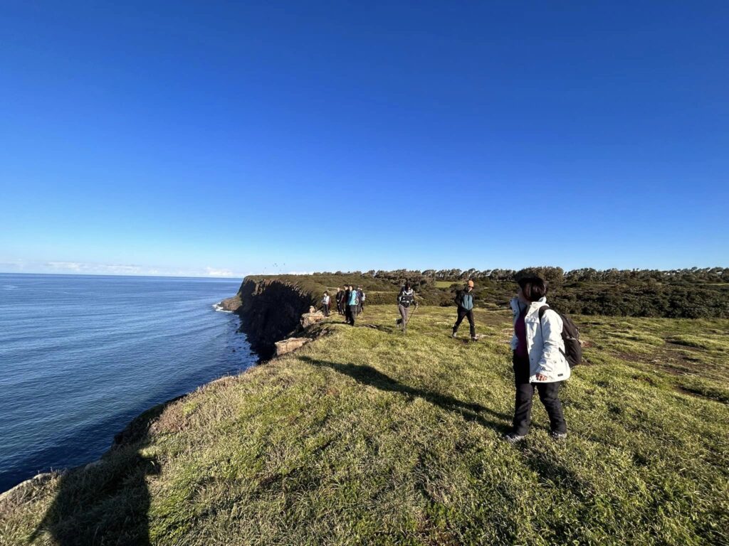 Scogliera di capo nieddu