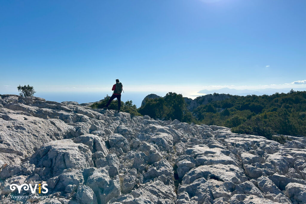 Lungo il Selvaggio bu da Giradili verso su idileddu