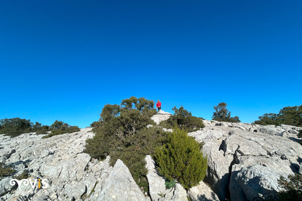 Sentiero lungo il selvaggio blu verso su Idleddu