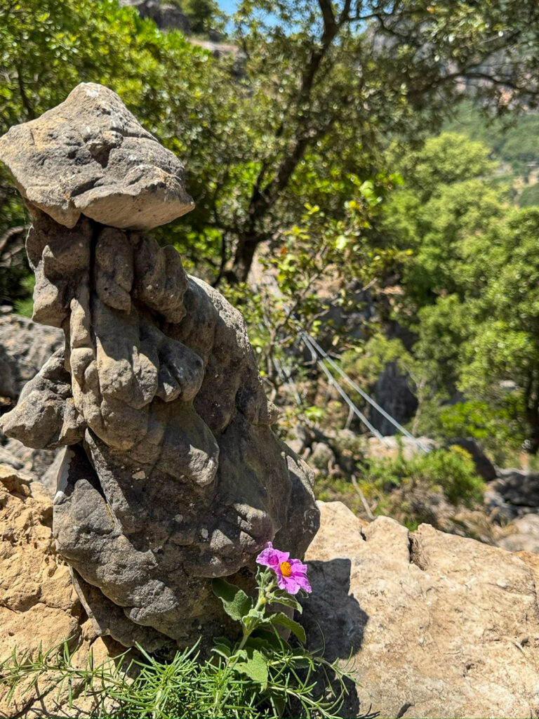 Particolare Ponte Tibetano ferrata Monte Tisiddu